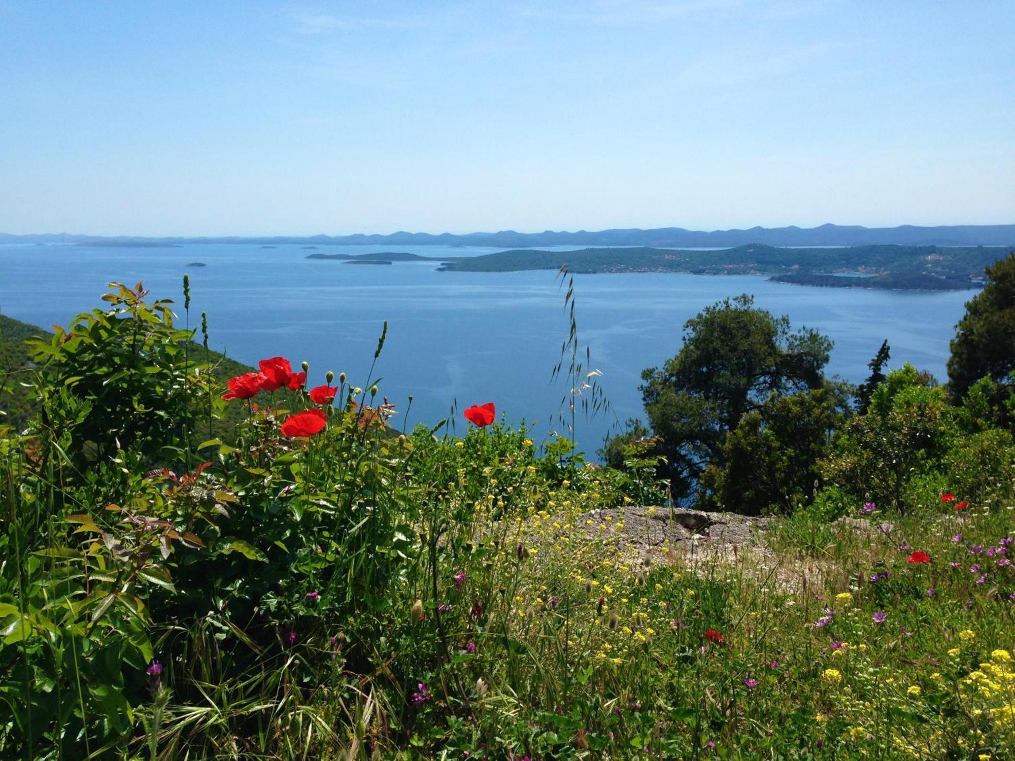 Apartma Sea Tonka Kali